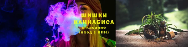 СК Волоколамск