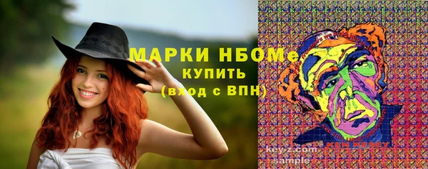 шишки Володарск