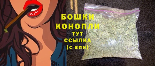шишки Володарск