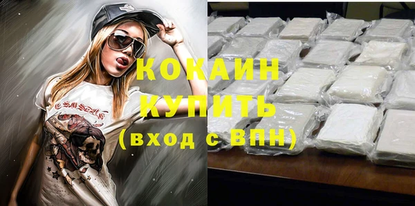 СК Волоколамск