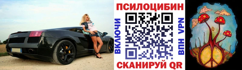 Купить закладки  Никольское  Псилоцибиновые грибы Cubensis 